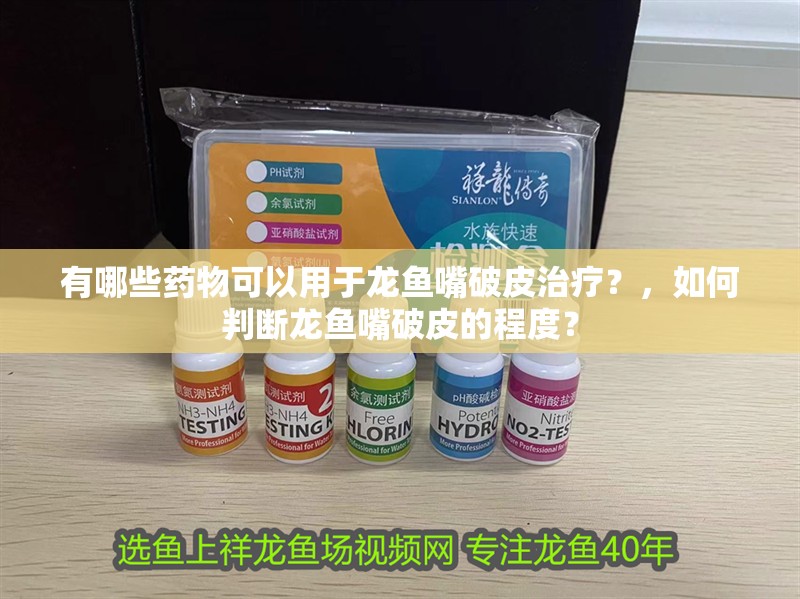 有哪些藥物可以用于龍魚嘴破皮治療？，如何判斷龍魚嘴破皮的程度？