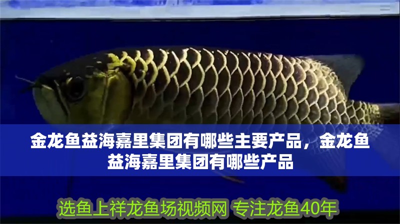 金龍魚益海嘉里集團有哪些主要產品，金龍魚益海嘉里集團有哪些產品