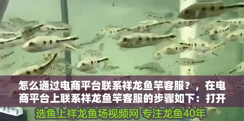 怎么通過電商平臺聯(lián)系祥龍魚竿客服？，在電商平臺上聯(lián)系祥龍魚竿客服的步驟如下：打開您的賬戶