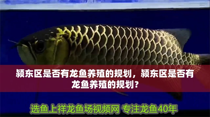 潁東區是否有龍魚養殖的規劃，潁東區是否有龍魚養殖的規劃？