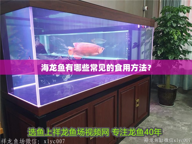 海龍魚有哪些常見的食用方法？