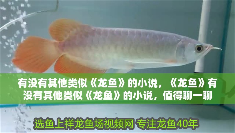 有沒有其他類似《龍魚》的小說，《龍魚》有沒有其他類似《龍魚》的小說，值得聊一聊