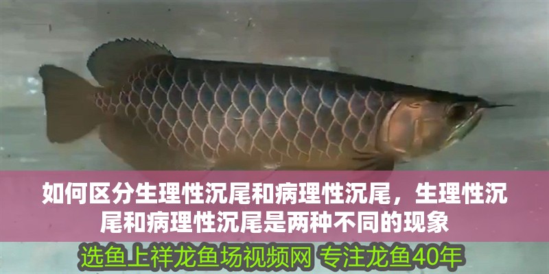 如何區分生理性沉尾和病理性沉尾，生理性沉尾和病理性沉尾是兩種不同的現象