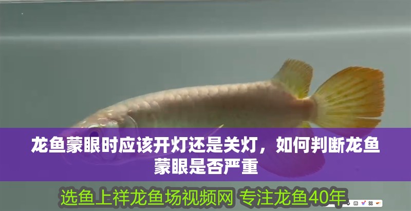 龍魚蒙眼時應該開燈還是關燈，如何判斷龍魚蒙眼是否嚴重
