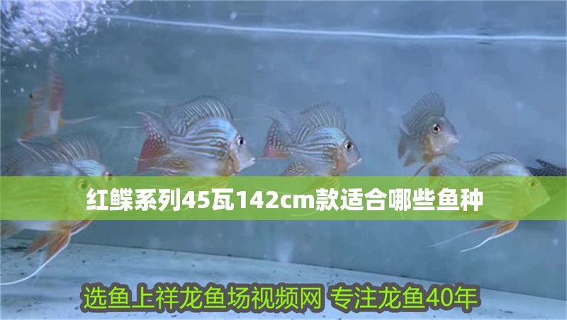 紅鰈系列45瓦142cm款適合哪些魚種