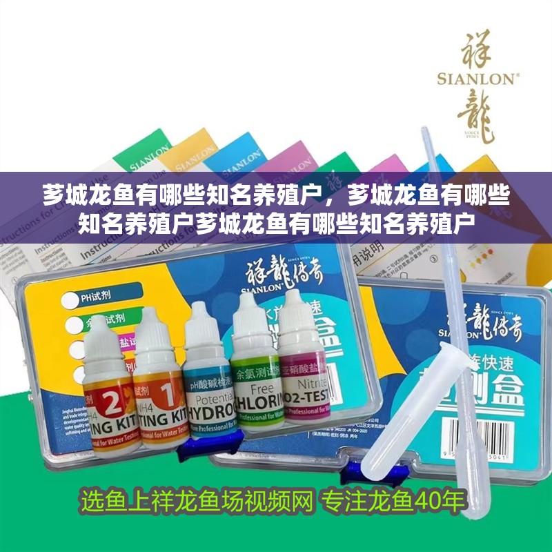 薌城龍魚有哪些知名養殖戶，薌城龍魚有哪些知名養殖戶薌城龍魚有哪些知名養殖戶