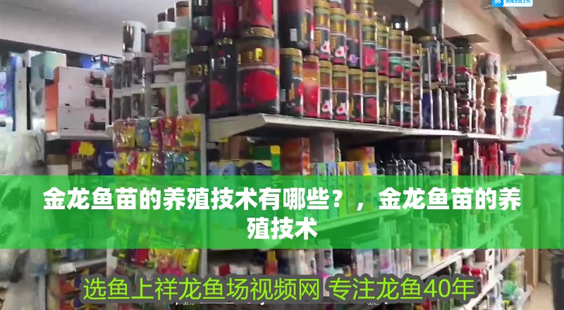 金龍魚苗的養殖技術有哪些？，金龍魚苗的養殖技術