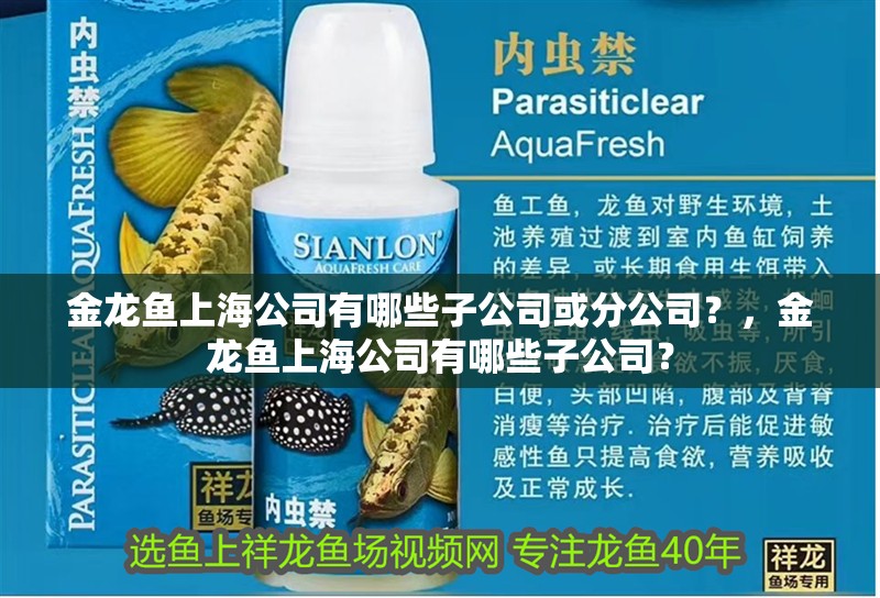 金龍魚上海公司有哪些子公司或分公司？，金龍魚上海公司有哪些子公司？