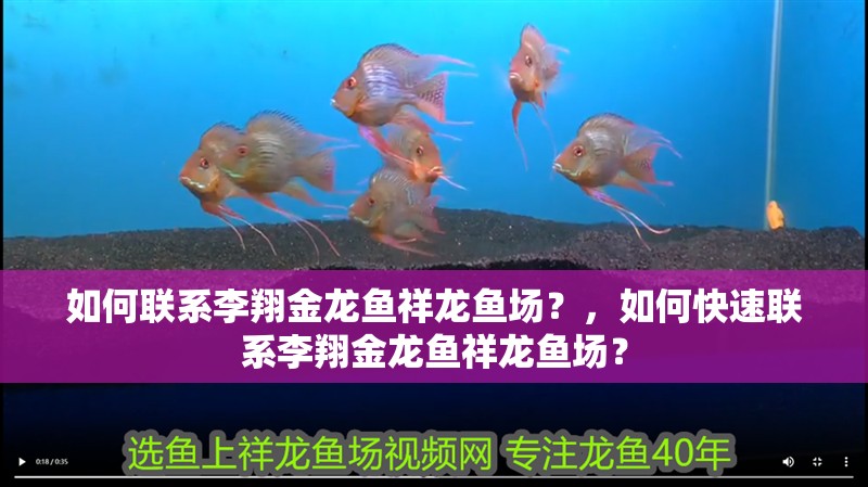 如何聯(lián)系李翔金龍魚(yú)祥龍魚(yú)場(chǎng)？，如何快速聯(lián)系李翔金龍魚(yú)祥龍魚(yú)場(chǎng)？