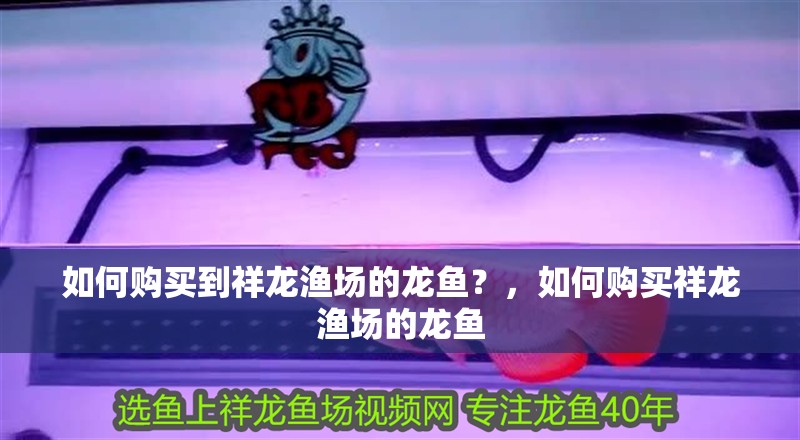 如何購買到祥龍漁場的龍魚？，如何購買祥龍漁場的龍魚