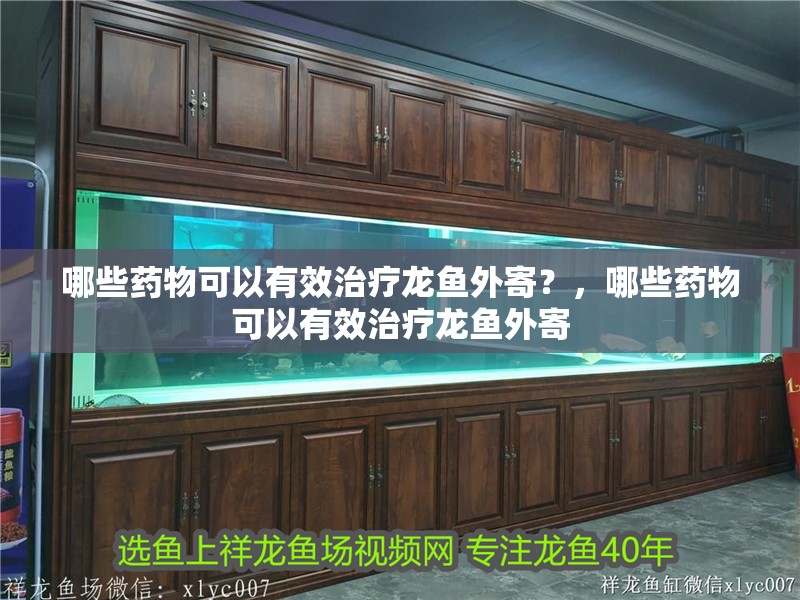 哪些藥物可以有效治療龍魚外寄？，哪些藥物可以有效治療龍魚外寄