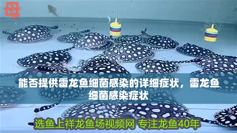 能否提供雷龍魚細菌感染的詳細癥狀，雷龍魚細菌感染癥狀
