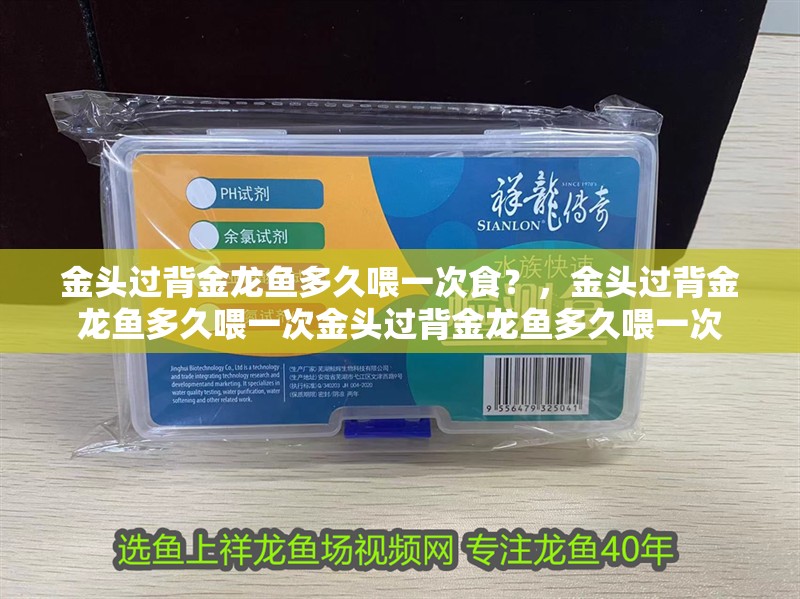 金頭過背金龍魚多久喂一次食？，金頭過背金龍魚多久喂一次金頭過背金龍魚多久喂一次