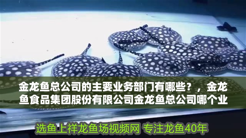 金龍魚總公司的主要業務部門有哪些？，金龍魚食品集團股份有限公司金龍魚總公司哪個業務最賺錢