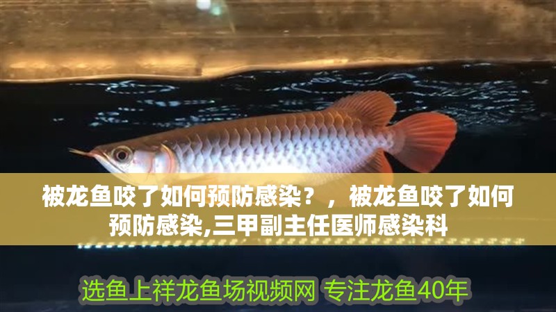 被龍魚咬了如何預防感染？，被龍魚咬了如何預防感染,三甲副主任醫師感染科