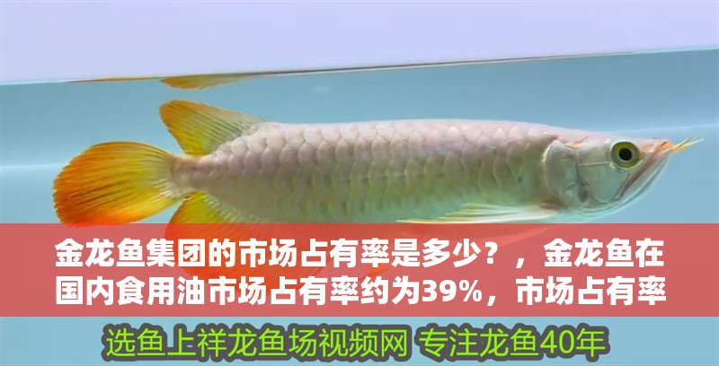 金龍魚集團的市場占有率是多少？，金龍魚在國內食用油市場占有率約為39%，市場占有率是多少