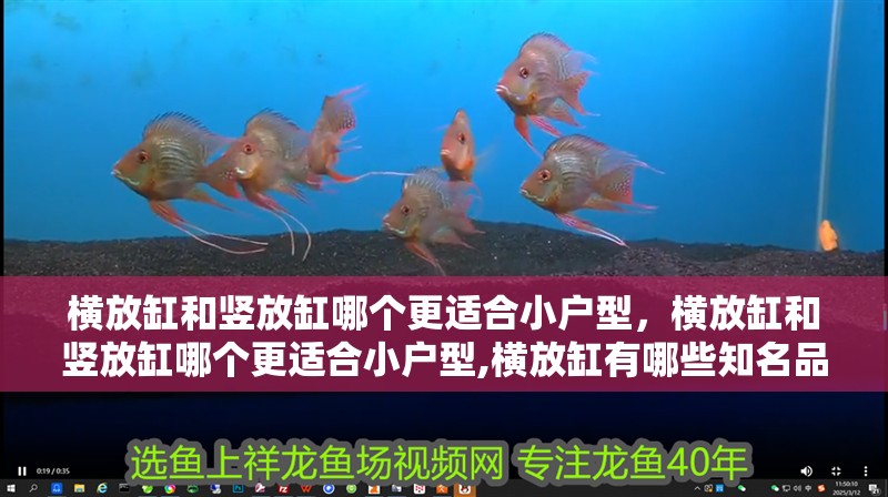 橫放缸和豎放缸哪個更適合小戶型，橫放缸和豎放缸哪個更適合小戶型,橫放缸有哪些知名品牌推薦