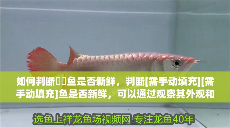 如何判斷鮟鱇魚是否新鮮，判斷[需手動填充][需手動填充]魚是否新鮮，可以通過觀察其外觀和觸摸肉質來進行