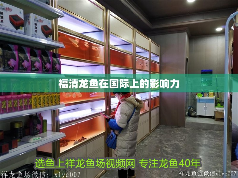 福清龍魚在國際上的影響力