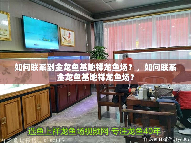 如何聯系到金龍魚基地祥龍魚場？，如何聯系金龍魚基地祥龍魚場？