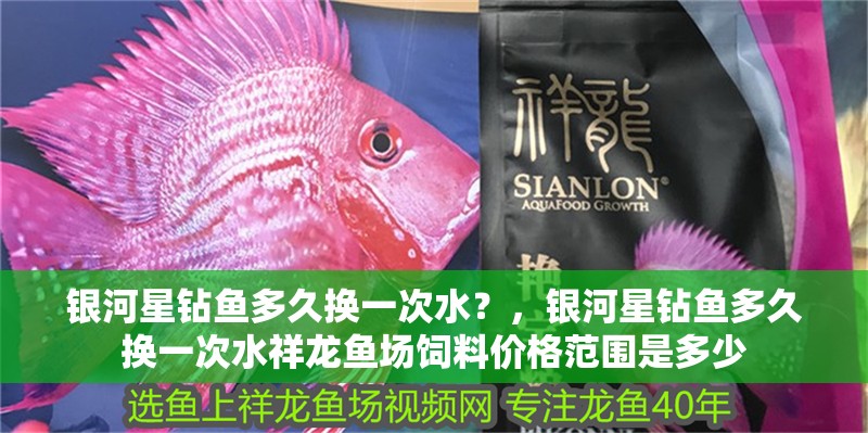 銀河星鉆魚多久換一次水？，銀河星鉆魚多久換一次水祥龍魚場飼料價格范圍是多少