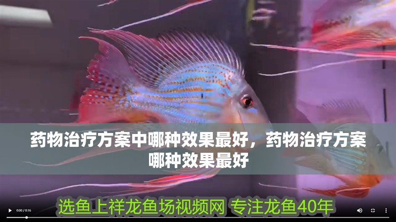 藥物治療方案中哪種效果最好，藥物治療方案哪種效果最好