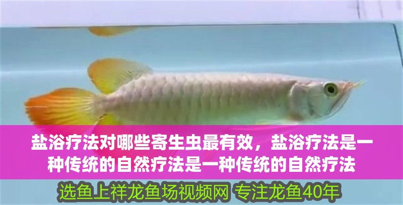 鹽浴療法對哪些寄生蟲最有效，鹽浴療法是一種傳統的自然療法是一種傳統的自然療法