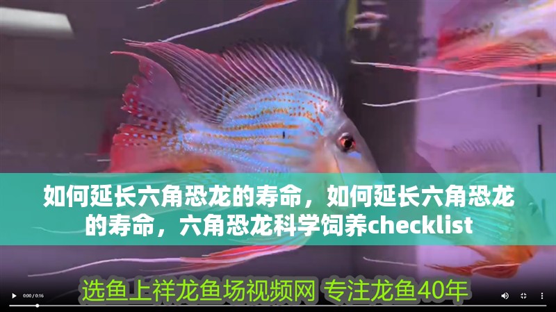 如何延長六角恐龍的壽命，如何延長六角恐龍的壽命，六角恐龍科學飼養(yǎng)checklist
