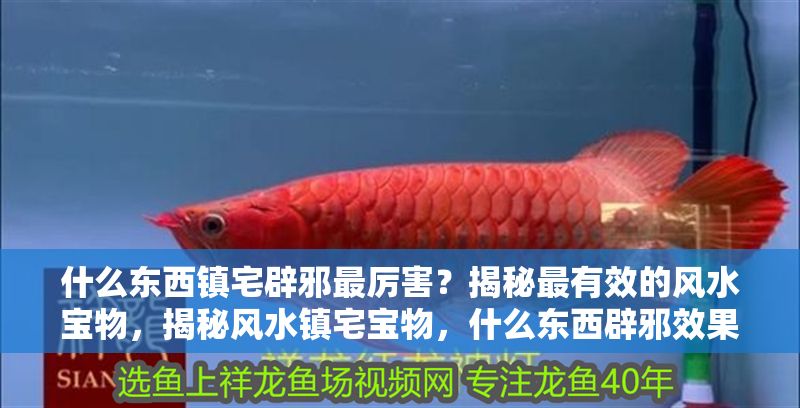 什么東西鎮(zhèn)宅辟邪最厲害？揭秘最有效的風(fēng)水寶物，揭秘風(fēng)水鎮(zhèn)宅寶物，什么東西辟邪效果最強？