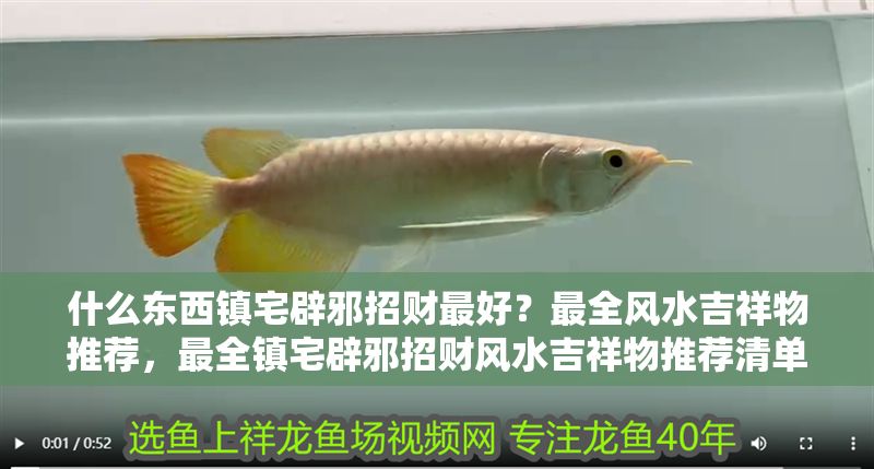 什么東西鎮宅辟邪招財最好？最全風水吉祥物推薦，最全鎮宅辟邪招財風水吉祥物推薦清單