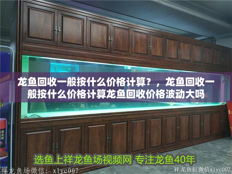 龍魚回收一般按什么價(jià)格計(jì)算？，龍魚回收一般按什么價(jià)格計(jì)算龍魚回收價(jià)格波動(dòng)大嗎