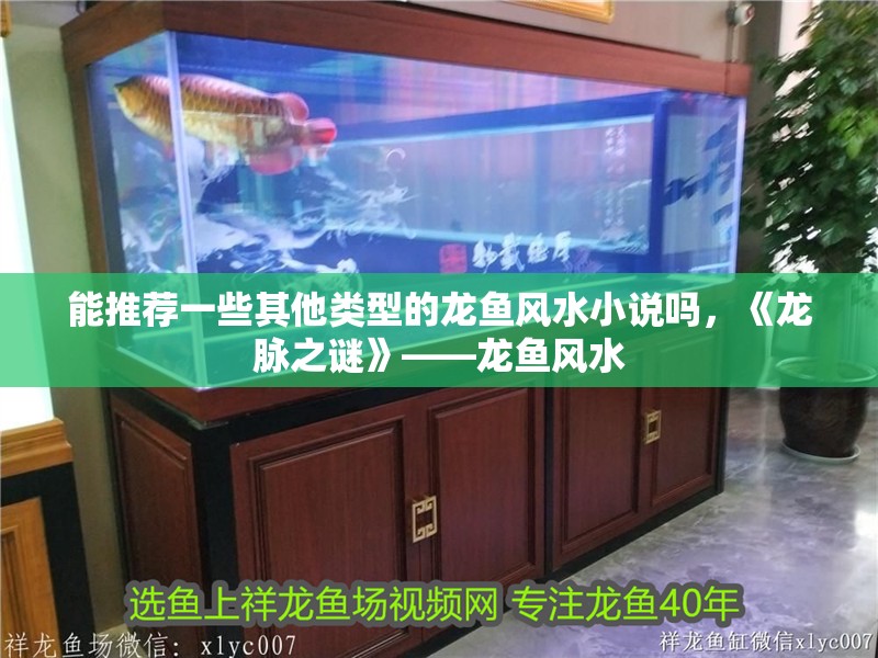 能推薦一些其他類型的龍魚風(fēng)水小說嗎，《龍脈之謎》——龍魚風(fēng)水