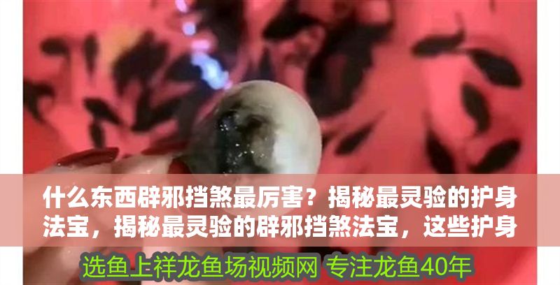 什么東西辟邪擋煞最厲害?揭秘最靈驗的護身法寶,揭秘最靈驗的辟邪擋煞法寶,這些護身神器效果驚人! 龍魚百科 第1張 什么東西辟邪擋煞最厲害?揭秘最靈驗的護身法寶,揭秘最靈驗的辟邪擋煞法寶,這些護身神器效果驚人! 什么東西辟邪擋煞最厲害?揭秘最靈驗的護身法寶,揭秘最靈驗的辟邪擋煞法寶,這些護身神器效果驚人! 龍魚百科 第1張