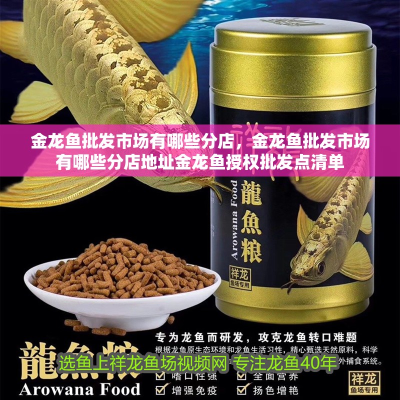 金龍魚(yú)批發(fā)市場(chǎng)有哪些分店，金龍魚(yú)批發(fā)市場(chǎng)有哪些分店地址金龍魚(yú)授權(quán)批發(fā)點(diǎn)清單