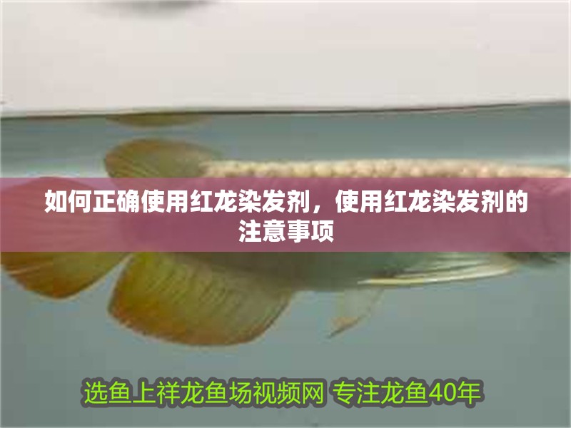 如何正確使用紅龍染發(fā)劑，使用紅龍染發(fā)劑的注意事項