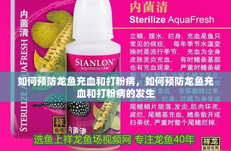如何預防龍魚充血和打粉病，如何預防龍魚充血和打粉病的發生