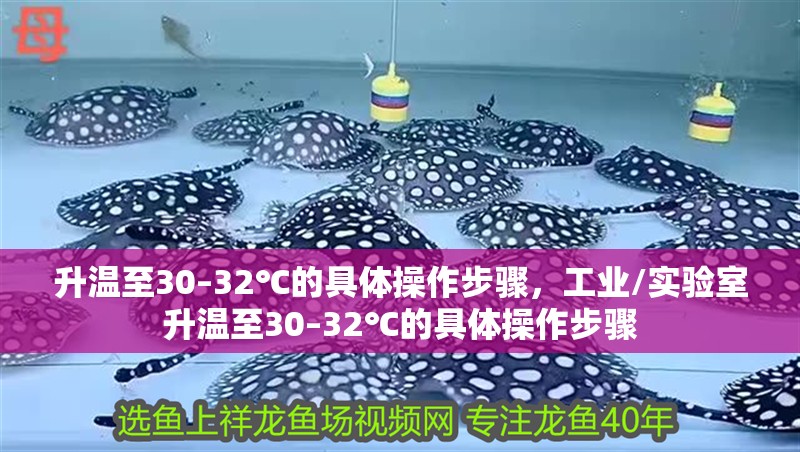 升溫至30–32℃的具體操作步驟，工業/實驗室升溫至30–32℃的具體操作步驟