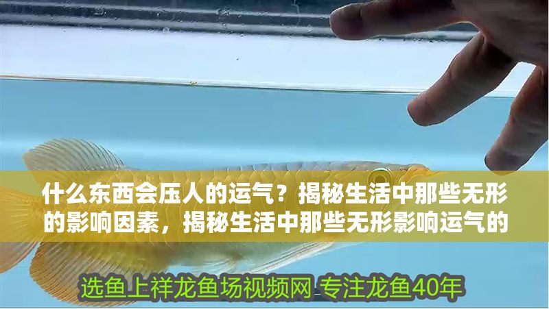 什么東西會(huì)壓人的運(yùn)氣？揭秘生活中那些無形的影響因素，揭秘生活中那些無形影響運(yùn)氣的因素
