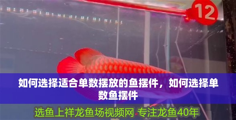 如何選擇適合單數擺放的魚擺件，如何選擇單數魚擺件
