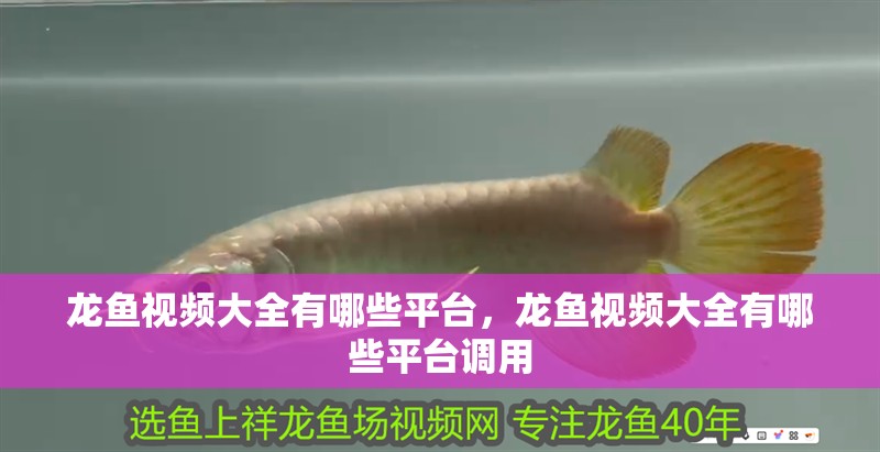 龍魚視頻大全有哪些平臺，龍魚視頻大全有哪些平臺調用
