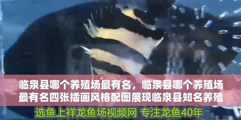 臨泉縣哪個養殖場最有名，臨泉縣哪個養殖場最有名四張插畫風格配圖展現臨泉縣知名養殖場