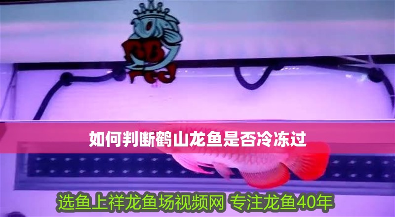 如何判斷鶴山龍魚是否冷凍過(guò)