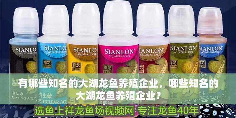 有哪些知名的大湖龍魚養(yǎng)殖企業(yè)，哪些知名的大湖龍魚養(yǎng)殖企業(yè)？
