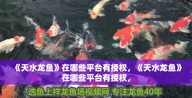 《天水龍魚》在哪些平臺(tái)有授權(quán),《天水龍魚》在哪些平臺(tái)有授權(quán),