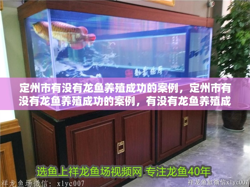 定州市有沒有龍魚養殖成功的案例，定州市有沒有龍魚養殖成功的案例，有沒有龍魚養殖成功的案例
