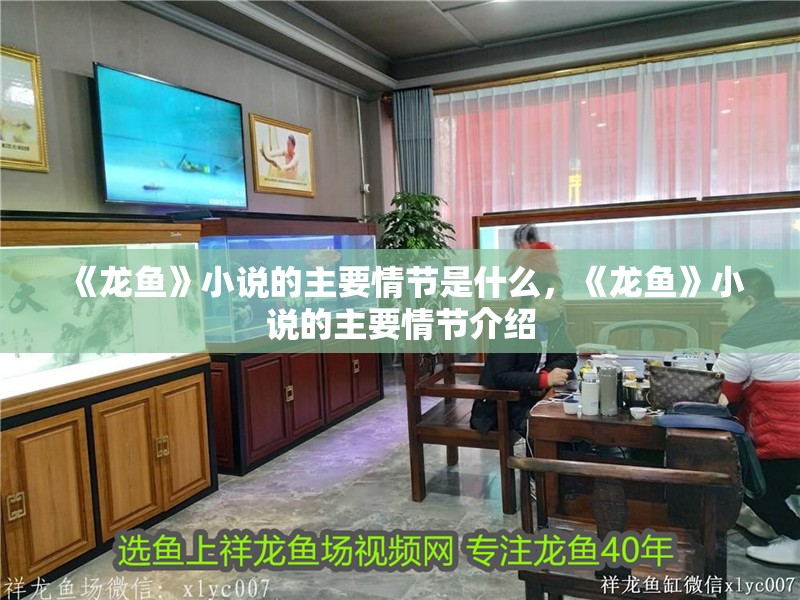 《龍魚》小說的主要情節(jié)是什么，《龍魚》小說的主要情節(jié)介紹
