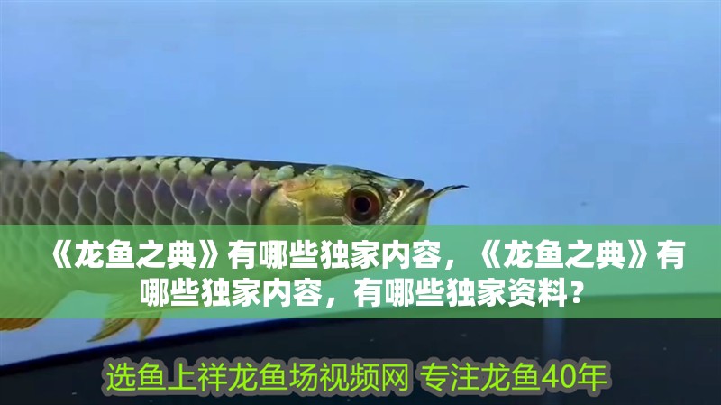 《龍魚之典》有哪些獨(dú)家內(nèi)容，《龍魚之典》有哪些獨(dú)家內(nèi)容，有哪些獨(dú)家資料？