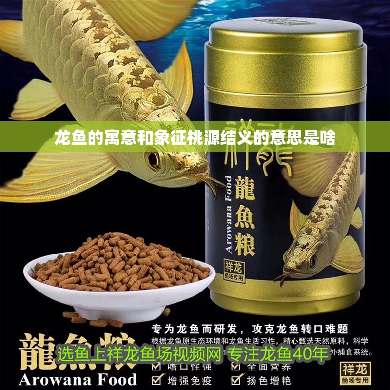 龍魚的寓意和象征桃源結(jié)義的意思是啥 龍魚的寓意和象征桃源結(jié)義的意思是啥 龍魚百科 第2張