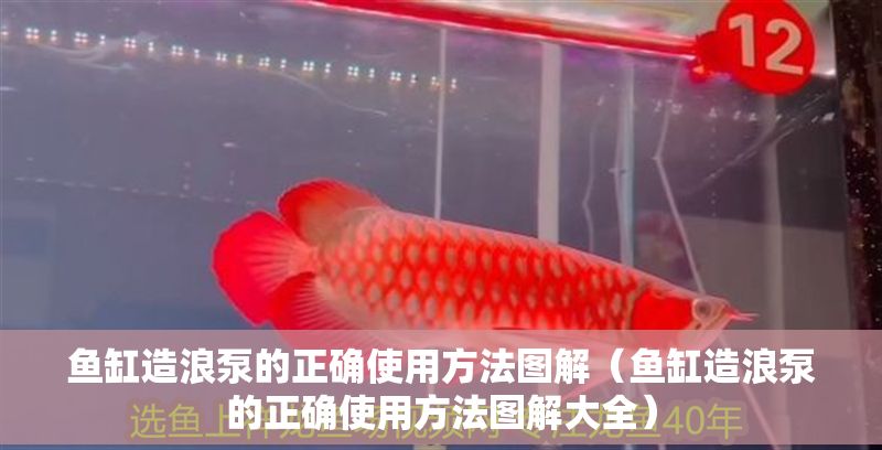 魚缸造浪泵的正確使用方法圖解（魚缸造浪泵的正確使用方法圖解大全）