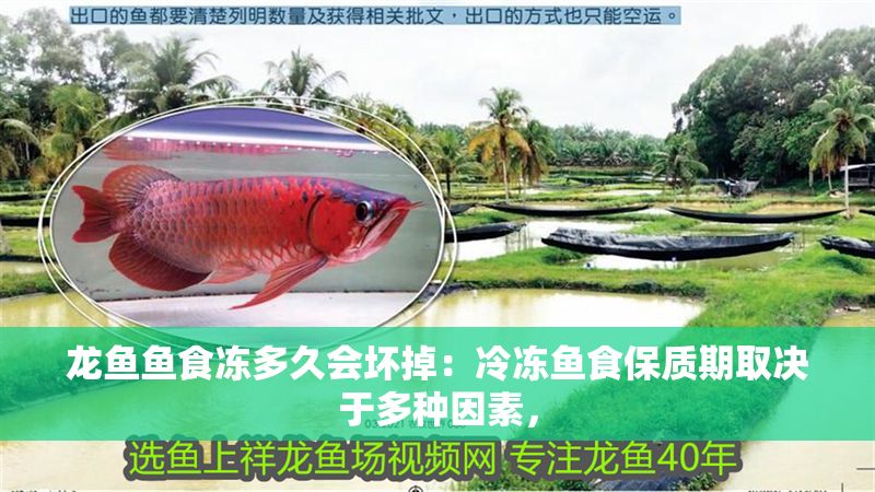 龍魚魚食凍多久會壞掉：冷凍魚食保質期取決于多種因素，